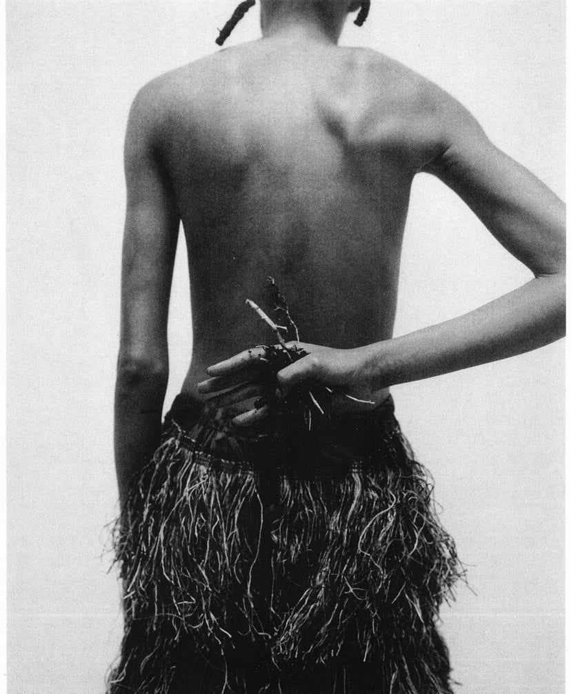 Matteua - Journal