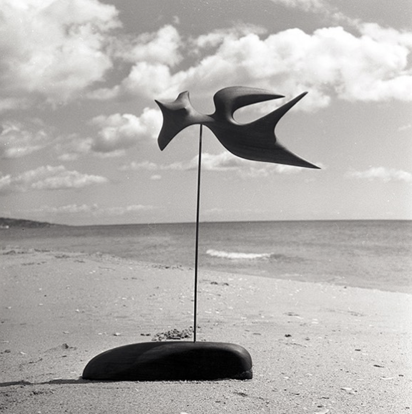 Matteua - Journal